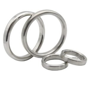 Ring Gasket SS