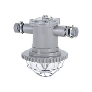 DGS Series Mine Roadway Light